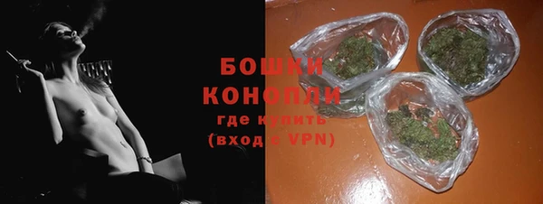 индика Кукмор