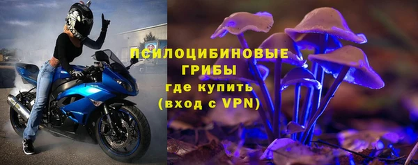 СК Абинск