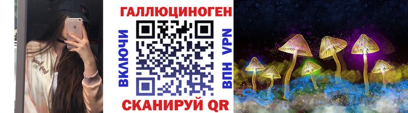 Псилоцибиновые грибы ЛСД  kraken зеркало  Болотное  цена наркотик 